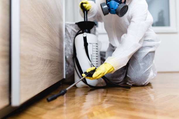 Best Rat Extermination Near Me  in Ilco, WA
