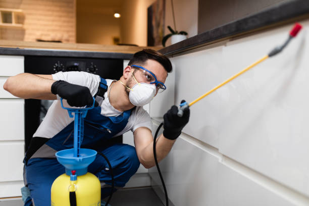 Reliable Ilwaco, WA Pest Control Solutions