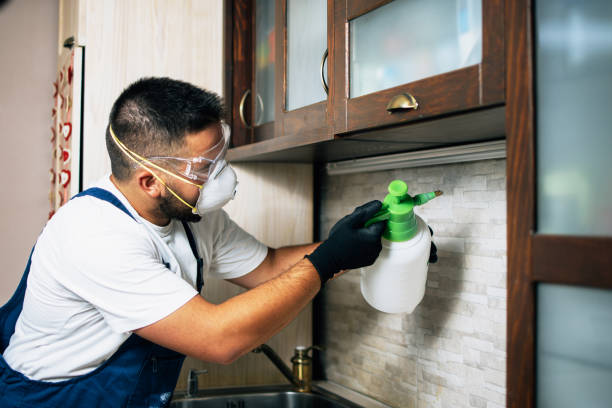 Best Residential Pest Control  in Ilco, WA