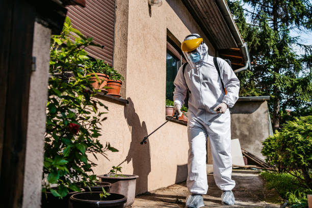 Best Best Pest Control Near Me  in Ilco, WA
