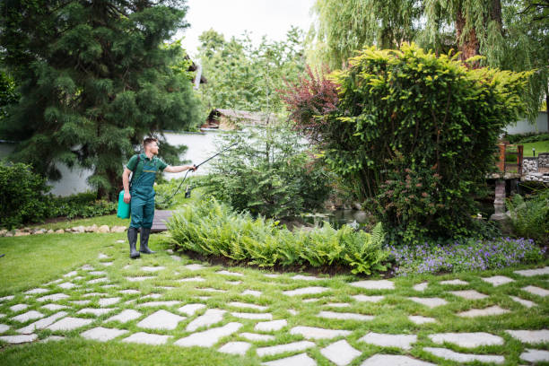 Best Wildlife Control Services  in Ilco, WA