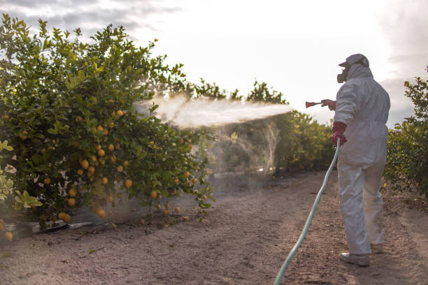 Best Wildlife Control Services  in Ilco, WA