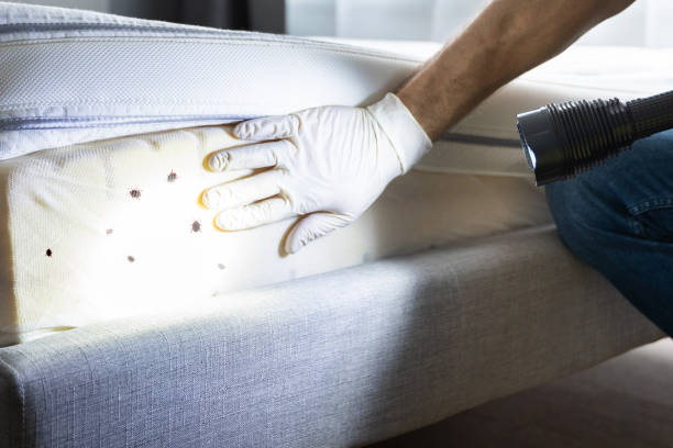 Best Pest Control Near Me  in Ilco, WA