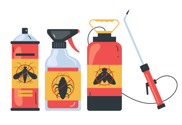 Best Affordable Pest Control Services  in Ilco, WA