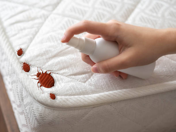  Ilco, WA Pest Control Pros
