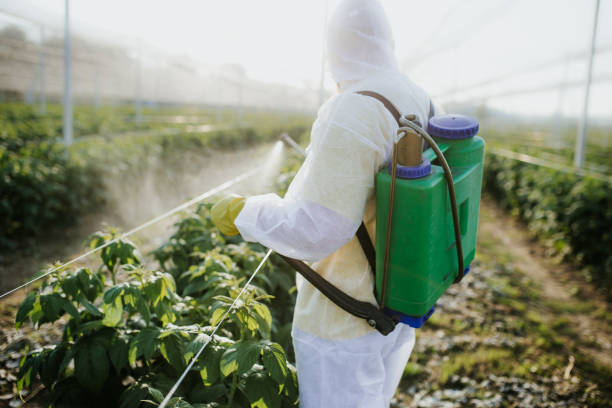 Pest Control Cost in Ilwaco, WA